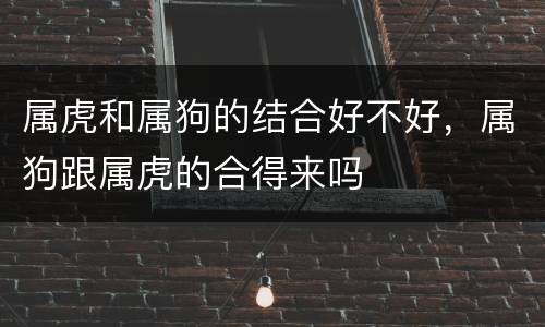 属虎和属狗的结合好不好，属狗跟属虎的合得来吗