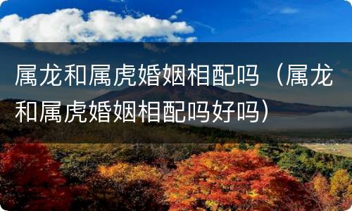 属龙和属虎婚姻相配吗（属龙和属虎婚姻相配吗好吗）