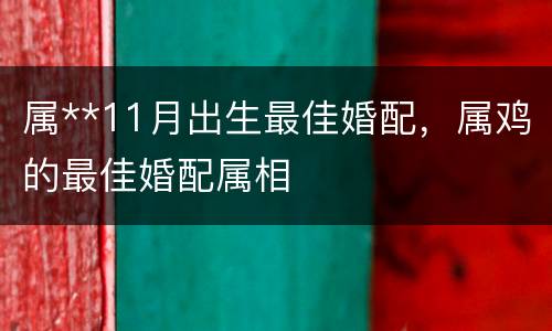 属**11月出生最佳婚配，属鸡的最佳婚配属相