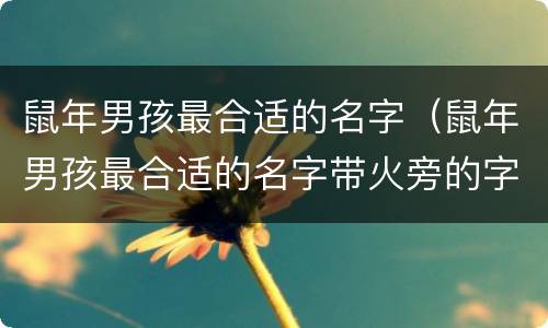 鼠年男孩最合适的名字（鼠年男孩最合适的名字带火旁的字）