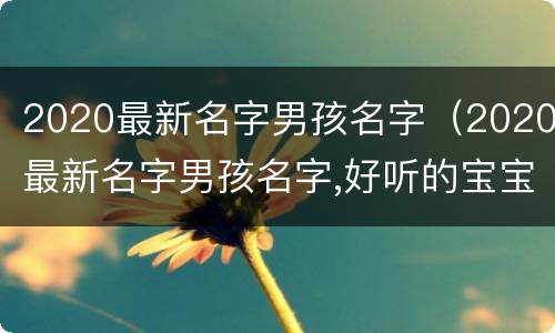 2020最新名字男孩名字（2020最新名字男孩名字,好听的宝宝名字库）