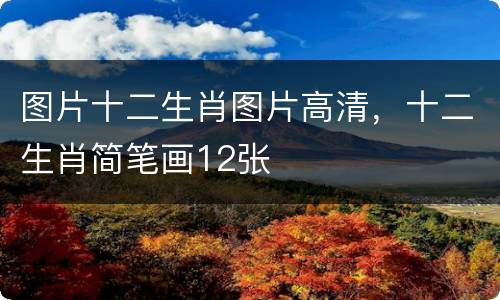 图片十二生肖图片高清，十二生肖简笔画12张
