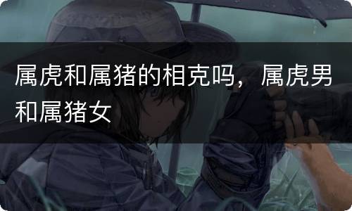 属虎和属猪的相克吗，属虎男和属猪女