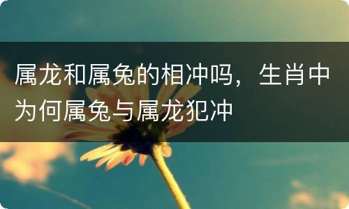 属龙和属兔的相冲吗，生肖中为何属兔与属龙犯冲