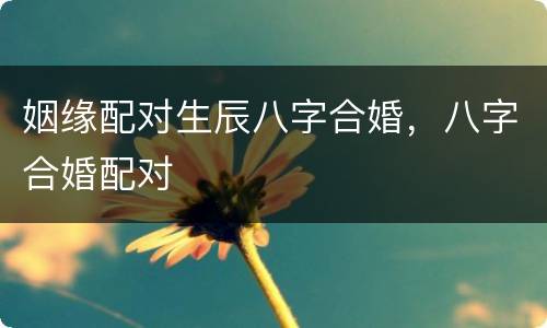 姻缘配对生辰八字合婚，八字合婚配对