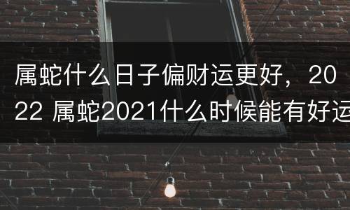 属蛇什么日子偏财运更好，2022 属蛇2021什么时候能有好运