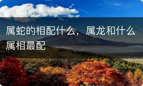属蛇的相配什么，属龙和什么属相最配