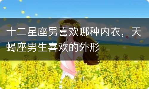 十二星座男喜欢哪种内衣，天蝎座男生喜欢的外形