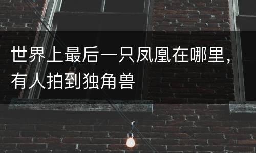 世界上最后一只凤凰在哪里，有人拍到独角兽