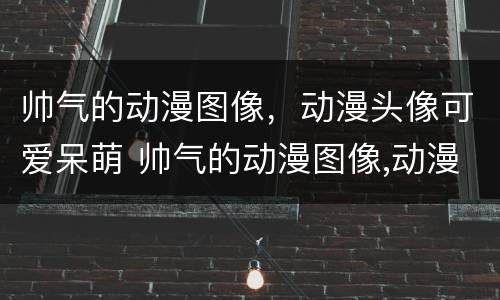帅气的动漫图像，动漫头像可爱呆萌 帅气的动漫图像,动漫头像可爱呆萌女生