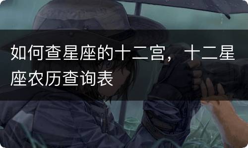 如何查星座的十二宫，十二星座农历查询表