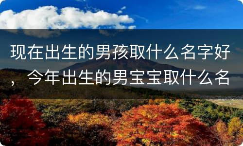 现在出生的男孩取什么名字好，今年出生的男宝宝取什么名字好听