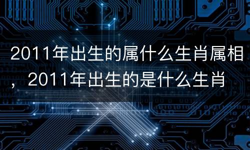 2011年出生的属什么生肖属相，2011年出生的是什么生肖
