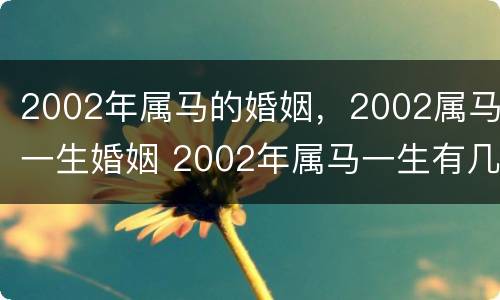 2002年属马的婚姻，2002属马一生婚姻 2002年属马一生有几次婚姻