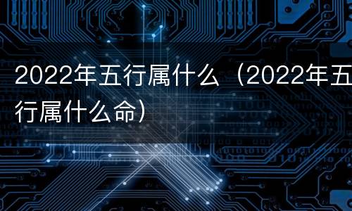 2022年五行属什么（2022年五行属什么命）