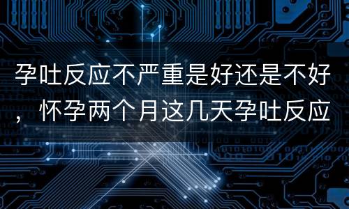 孕吐反应不严重是好还是不好，怀孕两个月这几天孕吐反应没有那几天严重、正