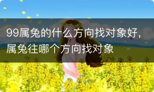 99属兔的什么方向找对象好，属兔往哪个方向找对象