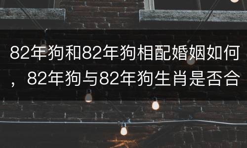 82年狗和82年狗相配婚姻如何，82年狗与82年狗生肖是否合婚配