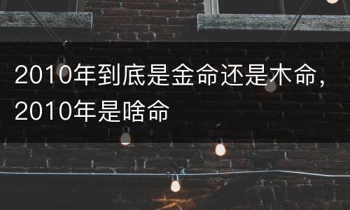 2010年到底是金命还是木命，2010年是啥命