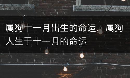 属狗十一月出生的命运，属狗人生于十一月的命运