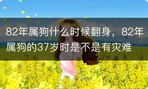 82年属狗什么时候翻身，82年属狗的37岁时是不是有灾难