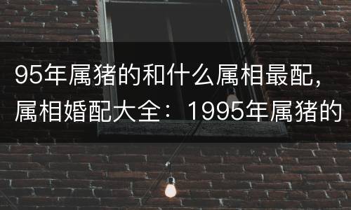 95年属猪的和什么属相最配，属相婚配大全：1995年属猪的最
