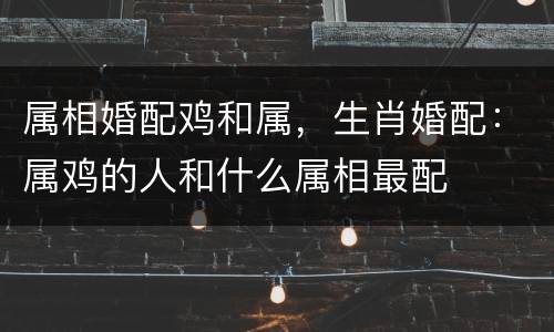 属相婚配鸡和属，生肖婚配：属鸡的人和什么属相最配