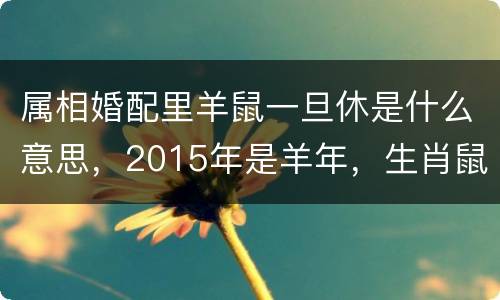 属相婚配里羊鼠一旦休是什么意思，2015年是羊年，生肖鼠之人本年”子未
