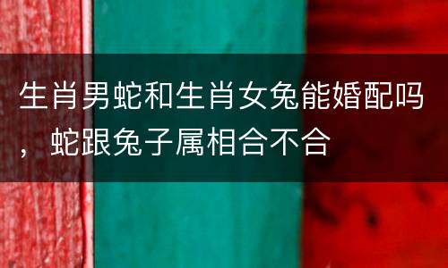 生肖男蛇和生肖女兔能婚配吗，蛇跟兔子属相合不合
