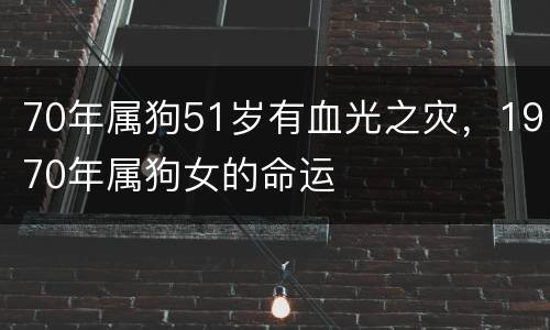70年属狗51岁有血光之灾，1970年属狗女的命运