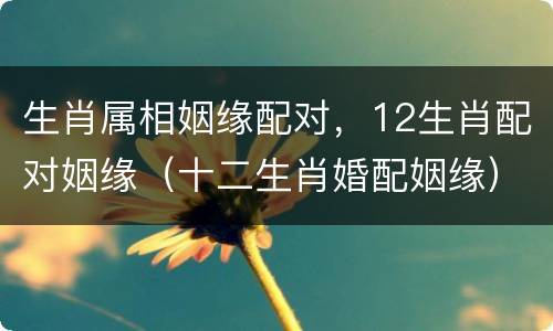 生肖属相姻缘配对，12生肖配对姻缘（十二生肖婚配姻缘）