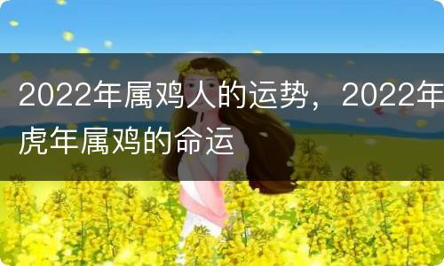2022年属鸡人的运势，2022年虎年属鸡的命运