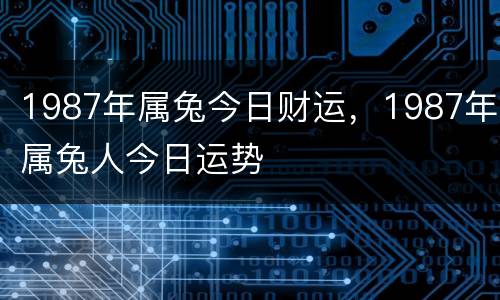 1987年属兔今日财运，1987年属兔人今日运势