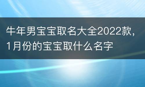 牛年男宝宝取名大全2022款，1月份的宝宝取什么名字