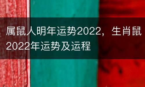 属鼠人明年运势2022，生肖鼠2022年运势及运程