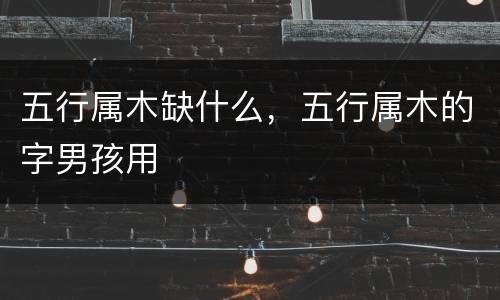 五行属木缺什么，五行属木的字男孩用
