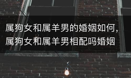 属狗女和属羊男的婚姻如何，属狗女和属羊男相配吗婚姻