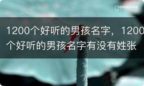 1200个好听的男孩名字，1200个好听的男孩名字有没有姓张