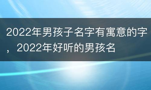 2022年男孩子名字有寓意的字，2022年好听的男孩名