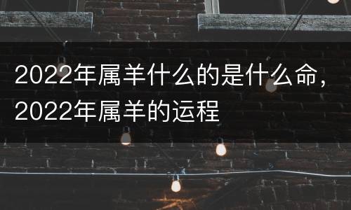 2022年属羊什么的是什么命，2022年属羊的运程