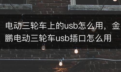 电动三轮车上的usb怎么用，金鹏电动三轮车usb插口怎么用