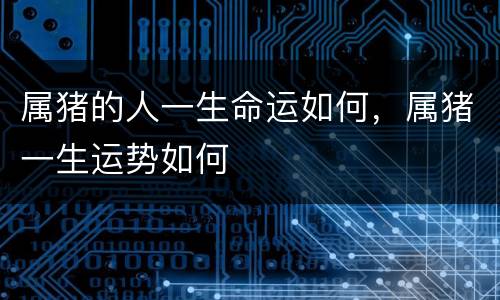 属猪的人一生命运如何，属猪一生运势如何