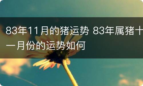 83年11月的猪运势 83年属猪十一月份的运势如何