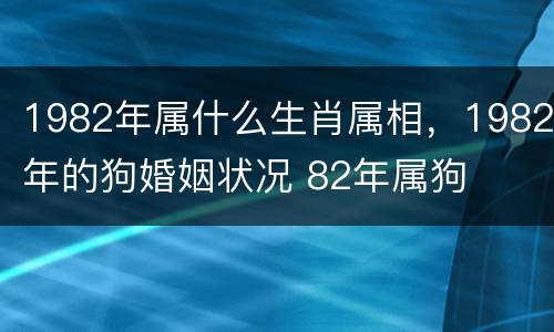 1982年属什么生肖属相，1982年的狗婚姻状况 82年属狗