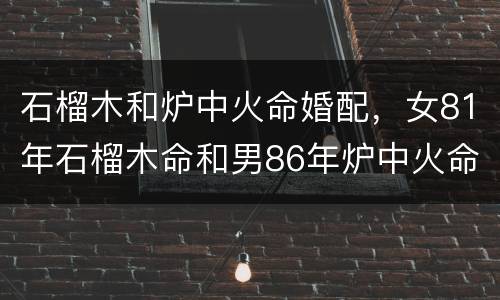 石榴木和炉中火命婚配，女81年石榴木命和男86年炉中火命能配姻缘吗