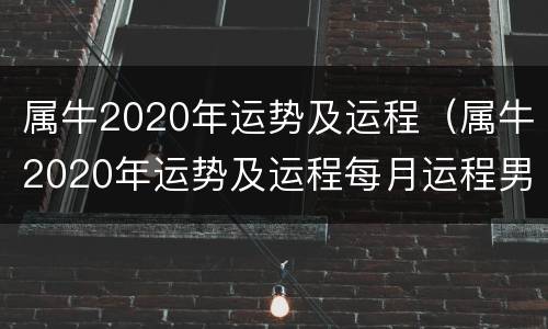 属牛2020年运势及运程（属牛2020年运势及运程每月运程男）