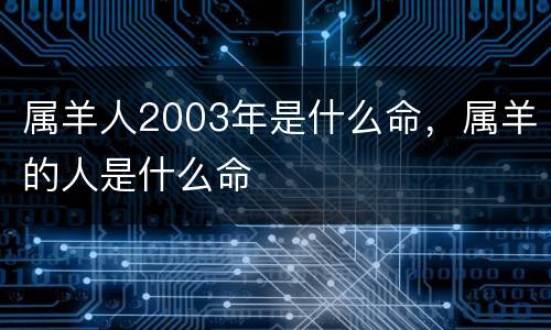 属羊人2003年是什么命，属羊的人是什么命