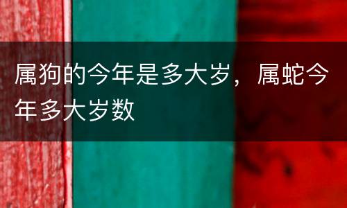 属狗的今年是多大岁，属蛇今年多大岁数
