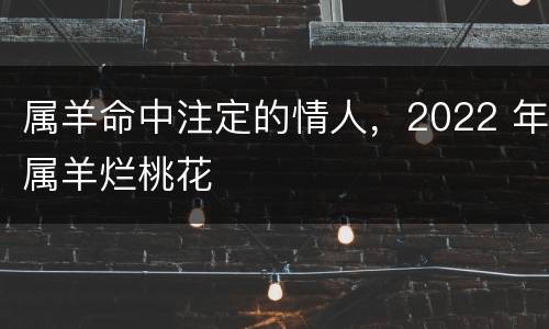 属羊命中注定的情人，2022 年属羊烂桃花