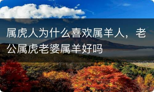 属虎人为什么喜欢属羊人，老公属虎老婆属羊好吗